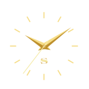 Logo Somazzi