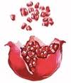 Logo Afghan Anar
