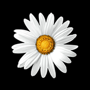 Logo Implenia Schweiz AG