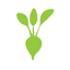 Logo Veg and the City