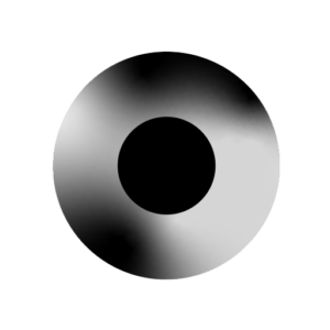 Logo Leist Optik