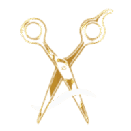 Logo Saan