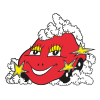Logo Autop & Stützliwösch