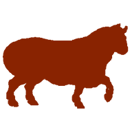 Logo Boucherie du Rawyl