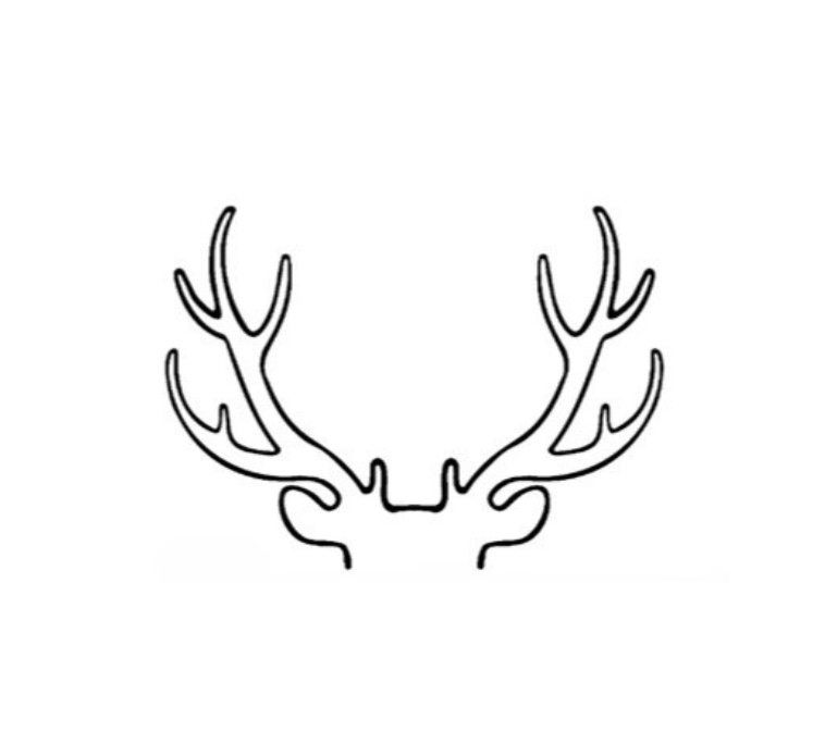 Logo La Selvatica