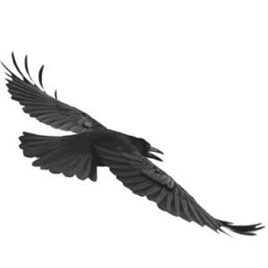 Logo Raben