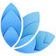 Logo Derma Medical Cosmetic, Juliane Nguyen