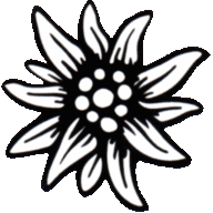 Logo Molki Kafi
