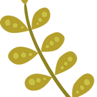 Logo Bio26