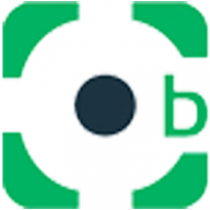 Logo Brülisauer Landtechnik