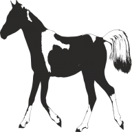 Logo Paclera-Hof