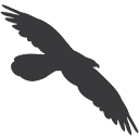 Logo Alpenbrauerei Girun