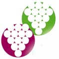 Logo Weinbauverein Dielenberg