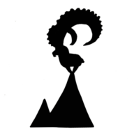 Logo illustraziuns Silvana Wölfle