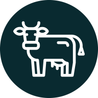 Logo Macherzentrum