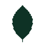 Logo Erlenvelo