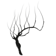 Logo Pfister Weine