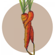 Logo die frischlinge