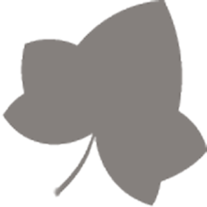 Logo Tschan