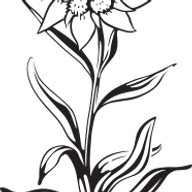 Logo Hotel Fex