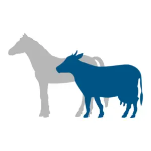 Logo tezet