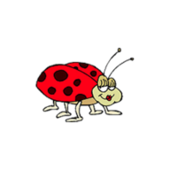 Logo Kita Mariakäfer