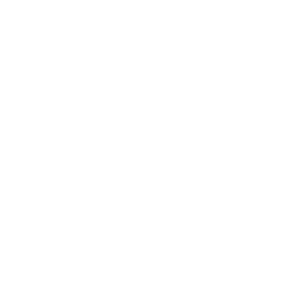 Logo Allegro