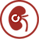 Logo Nieren- und Dialysezentrum