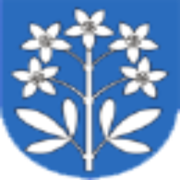 Logo Kindergarten Bluemwis