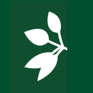 Logo Montoie Fleurs