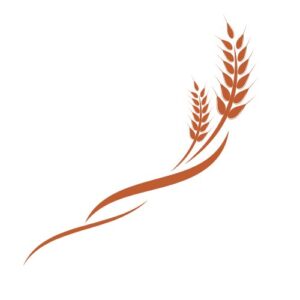 Logo Épi'Concise