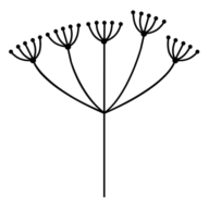 Logo Ava