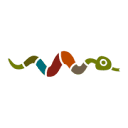 Logo Saner Apotheke