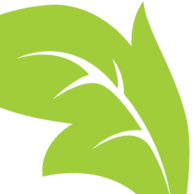 Logo Festival du Film Vert