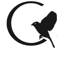 Logo Cabinet de curiosités