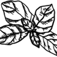 Logo Naturheilpraxis