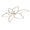 Logo Fleur de Liza