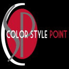 Logo Color Style Point