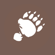 Logo Bären