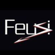 Logo Feusi électricité SA