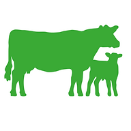 Logo Aussichtshof