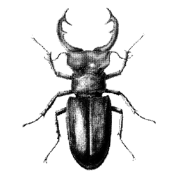 Logo Hirscheneck