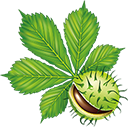 Logo Kastanienbaum