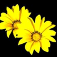 Logo Blueme Stübli
