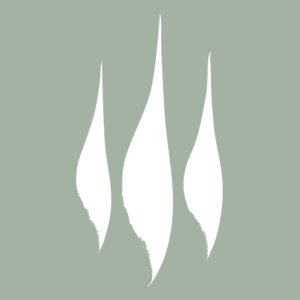 Logo Chez Fritz