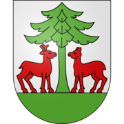 Logo Oberlangenegg Wolfrichti 300 m
