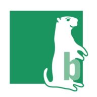 Logo Bürcher Alpin