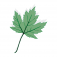 Logo Ahorni