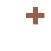 Logo Steiner plus