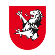 Logo Fussballanlage Stighag